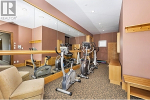 202 Stepping Stones Crescent - Photo 43