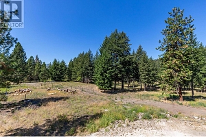 26 Commonage Road - Photo 46