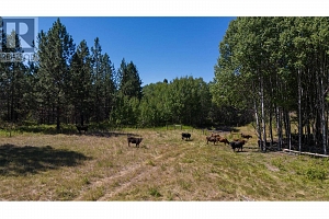 26 Commonage Road - Photo 83