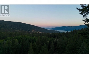 26 Commonage Road - Photo 90