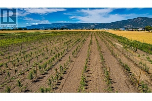 1939 97A Highway - Photo 15