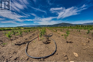1939 97A Highway - Photo 20
