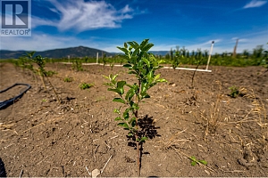 1939 97A Highway - Photo 21