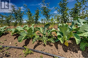 1939 97A Highway - Photo 22