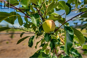 1939 97A Highway - Photo 23