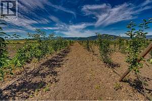1939 97A Highway - Photo 24