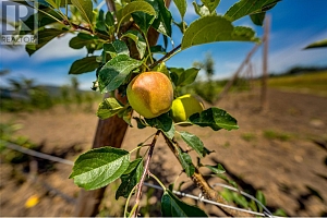 1939 97A Highway - Photo 25