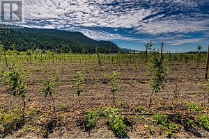 1939 97A Highway - Photo 27