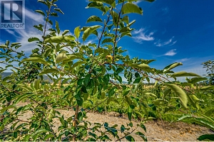 1939 97A Highway - Photo 28