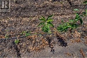 1939 97A Highway - Photo 29