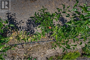 1939 97A Highway - Photo 30