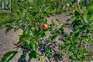 1939 97A Highway - Photo 31