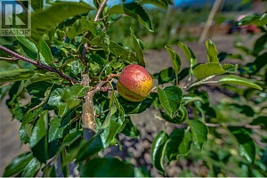 1939 97A Highway - Photo 32