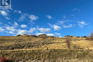0000 Bella Vista Road - Photo 30