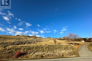 0000 Bella Vista Road - Photo 32