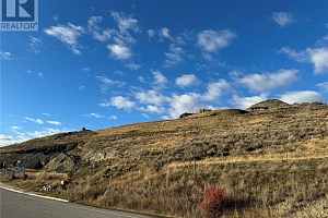 0000 Bella Vista Road - Photo 34