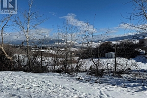 0000 Bella Vista Road - Photo 37