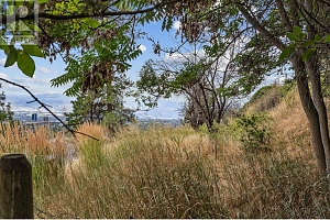13 Alameda Court - Photo 68