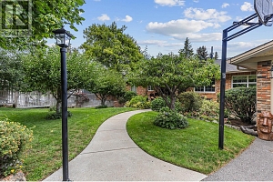 13 Alameda Court - Photo 70