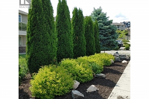 12860 Cliffshore Drive - Photo 41