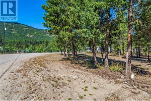 33 Pringle Road - Photo 10