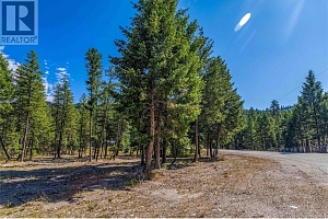 33 Pringle Road - Photo 11