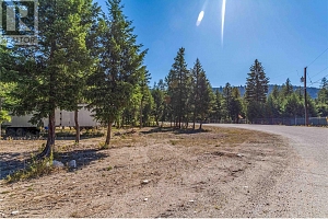 33 Pringle Road - Photo 12