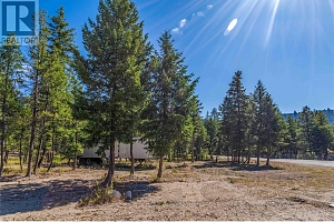 33 Pringle Road - Photo 13