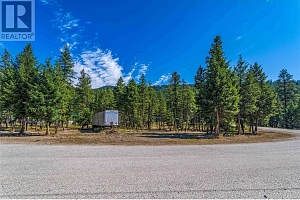 33 Pringle Road - Photo 14