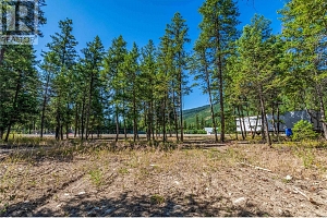 33 Pringle Road - Photo 15