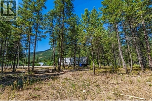 33 Pringle Road - Photo 16