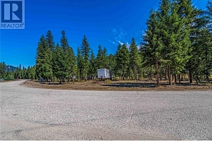 33 Pringle Road - Photo 18