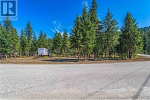 33 Pringle Road - Photo 19