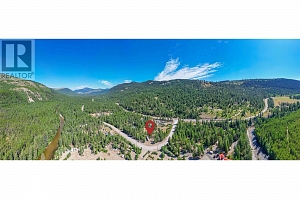 33 Pringle Road - Photo 23