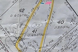 33 Pringle Road - Photo 8