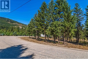 33 Pringle Road - Photo 9
