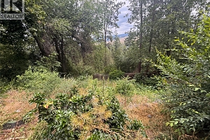 10959 Eva Road - Photo 28