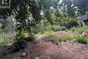 10959 Eva Road - Photo 6