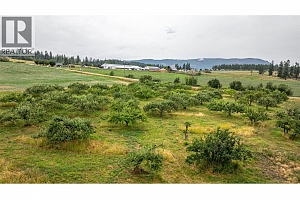 4377 Hallam Road - Photo 38