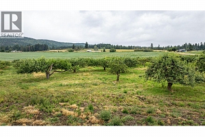 4377 Hallam Road - Photo 43