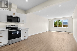 1023 Kitson Court - Photo 39