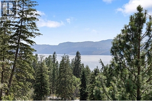133 Goldclaim Road - Photo 40