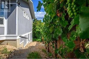 12003 Kidston Road - Photo 34