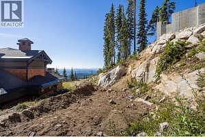 465 Feathertop Way - Photo 10