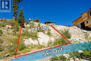 465 Feathertop Way - Photo 11