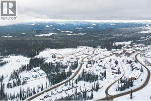 465 Feathertop Way - Photo 18