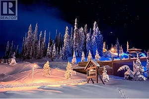 465 Feathertop Way - Photo 19