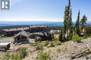 465 Feathertop Way - Photo 7