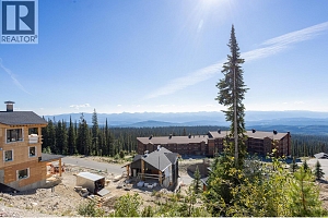 465 Feathertop Way - Photo 9