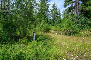 7929 Aspen Road - Photo 13